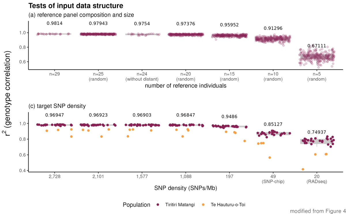We used Beagle v5.4 to test various imputation parameters and input data structures. We achieved mean r² &gt; 0.95 in most tests except at very low target SNP densities and reference panel sizes. Surprisingly, adding a #linkagemap (Tan et al., 2024) didn’t improve accuracy!