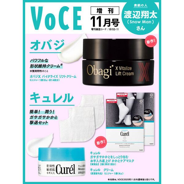 DAYS★美品！1部日焼けあり！1～42巻➕公式ガイドブックのセット！ 3㎝ゆうパケット対応】きらぴかマスキングテープ[苺と鳥] - 雑貨