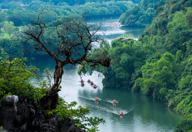 Avalanche $Avax và Sonic $S có nhiều Big News đẩy ra dần dần. AE nào chưa có hàng thì canh chỉnh bước lên 1 chân chờ Team Avax và Andre bơm là ổn. Kiên nhẫn trong năm nay sẽ có sóng cho Legit có Usecase mạnh