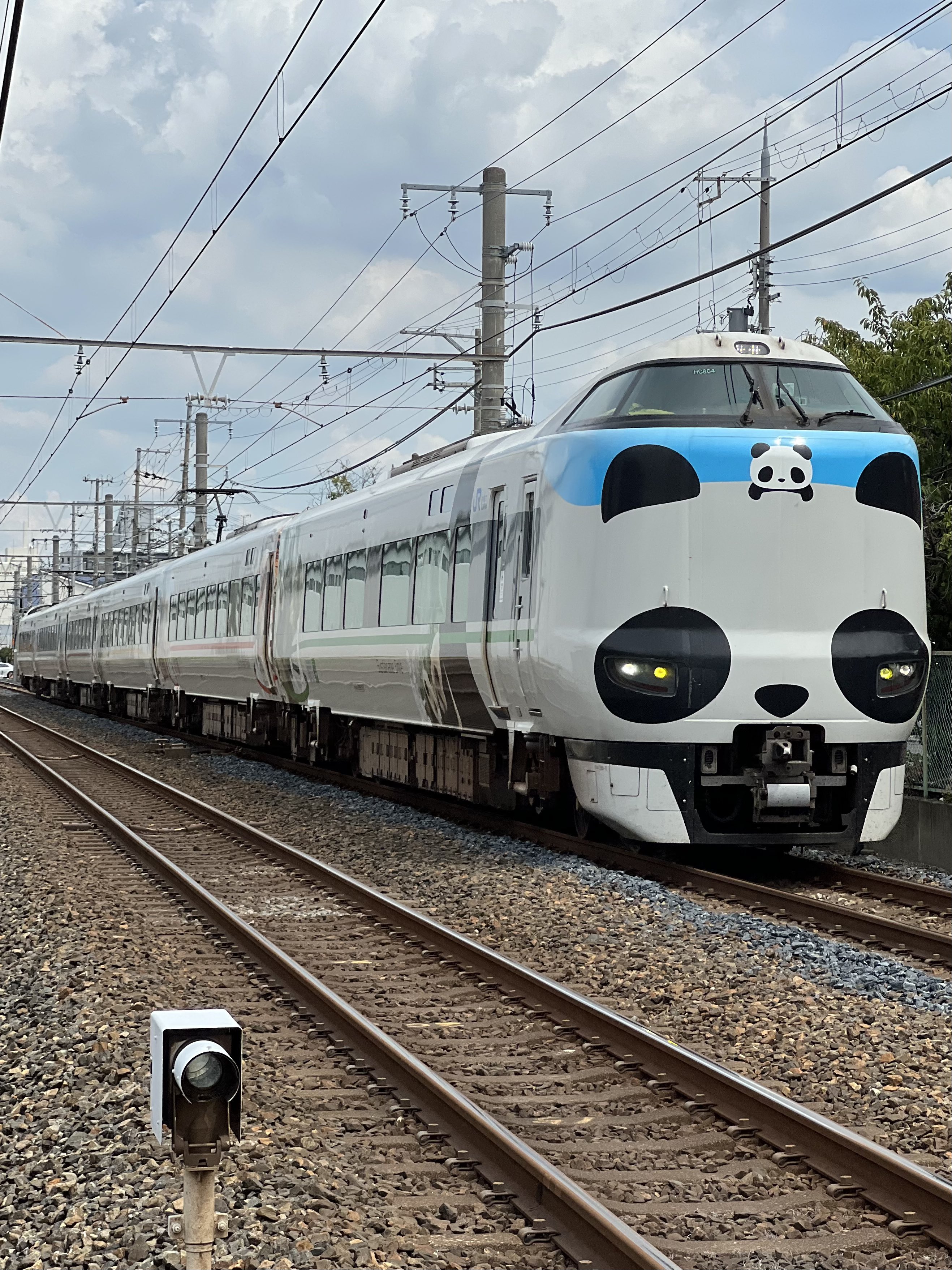 岸和田 ミッキー(ウッディーウッドペッカー)(たまにD垢)🐭さかな