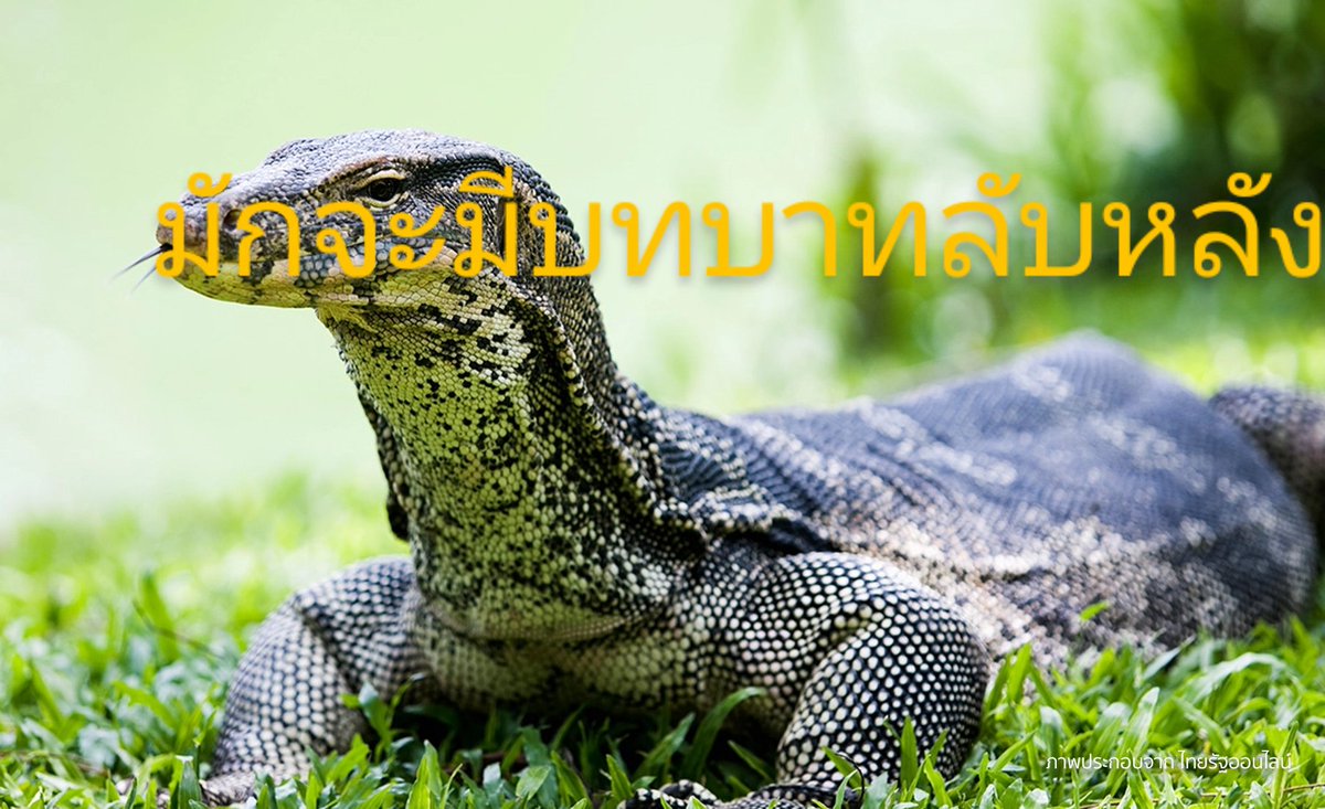 Slow chin (@kimsri171878) on Twitter photo 