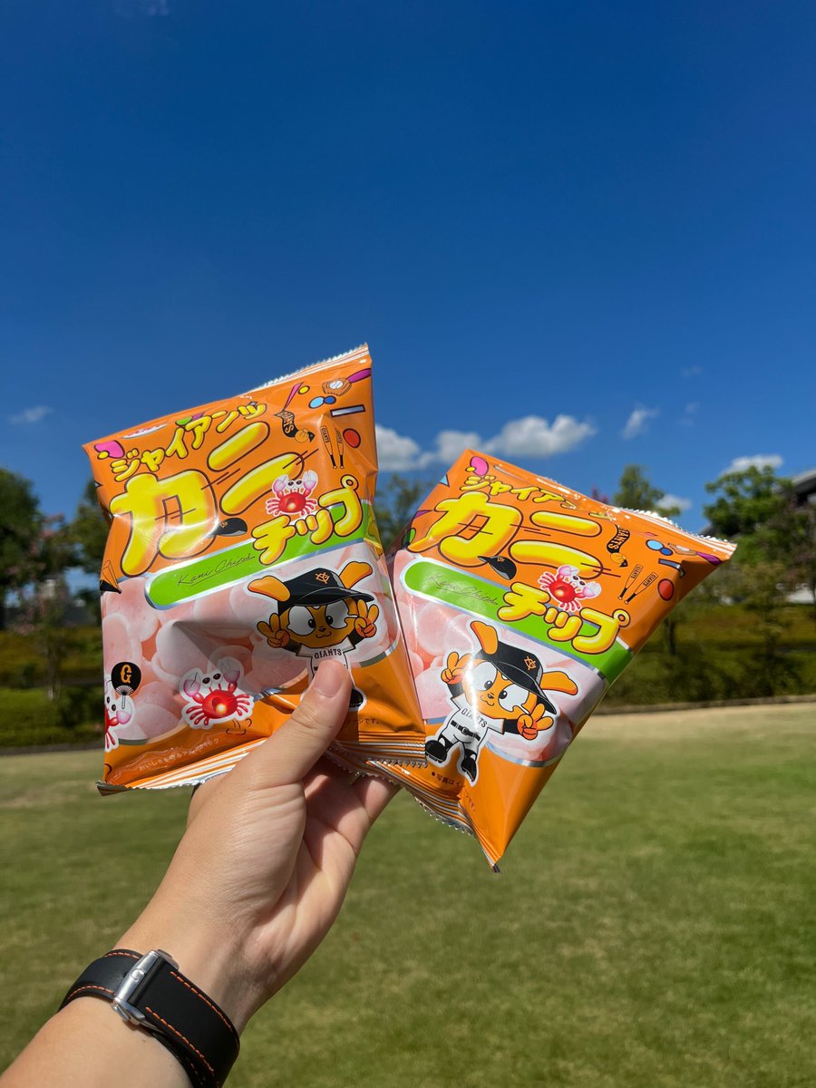 岐阜開催記念グッズ🏔その6⃣ ジャイアンツ カニチップ🦀 岐阜の製菓