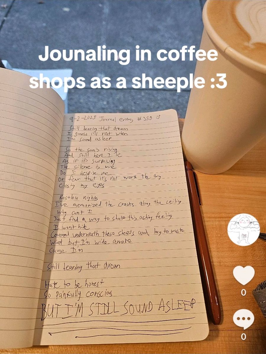 Stream Sound Asleep
#sheeposting