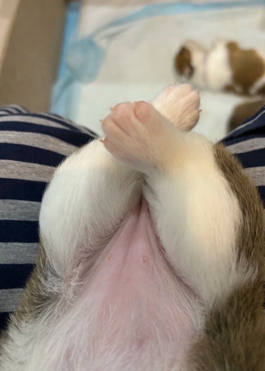 twaniimals's tweet photo. https://t.co/0cZutcs9Dc