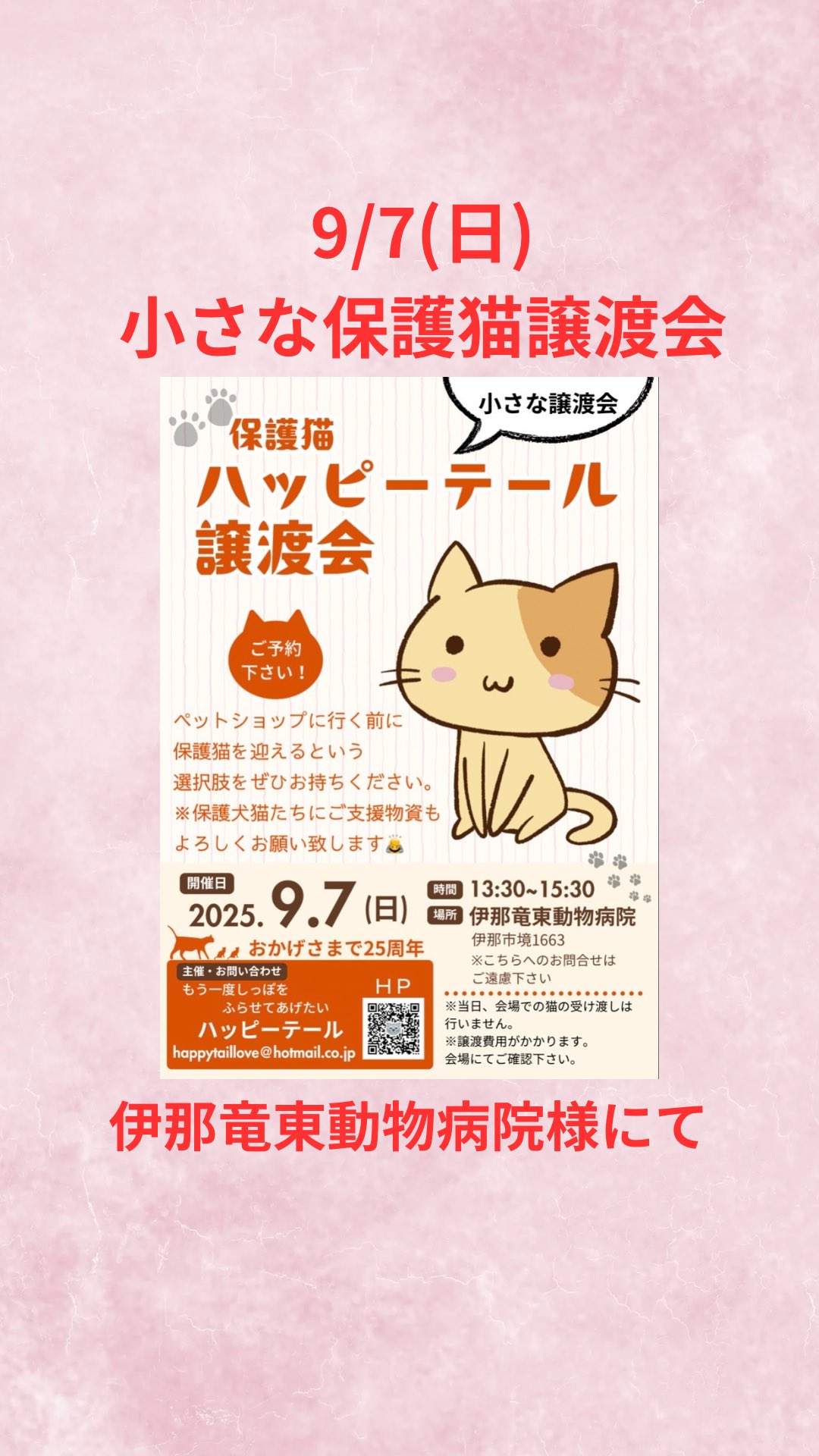 ちびねこ様専用 直接受け渡し 【公式通販】