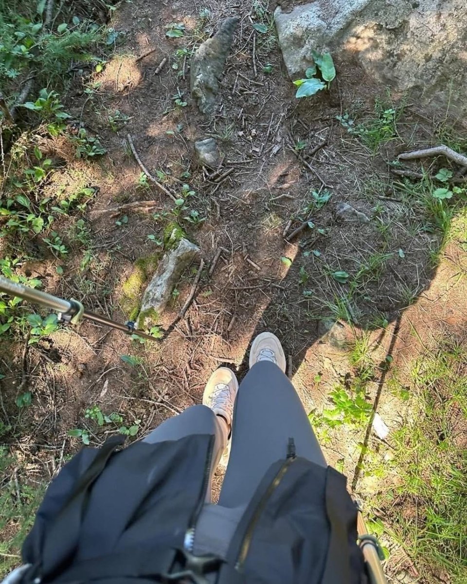 CalicoVanill's tweet photo. 土の匂いと木漏れ日で目が覚める朝ハイク🥾🌲
今日は“ゆる登り”で、心拍も景色もじわっと楽しむ日。
みんなの推し低山・お気に入りトレイルはどこ？下山後のご褒美も教えてね！私はコーヒーとおにぎり派です☕️🍙

#登山 #ハイキング #山好きと繋がりたい #ソロ登山 #低山ハイク #トレッキング https://t.co/ja6SWTOFNu
