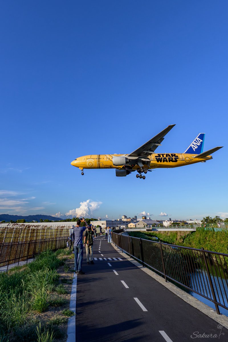 黄色いキミをみんなで見上げて