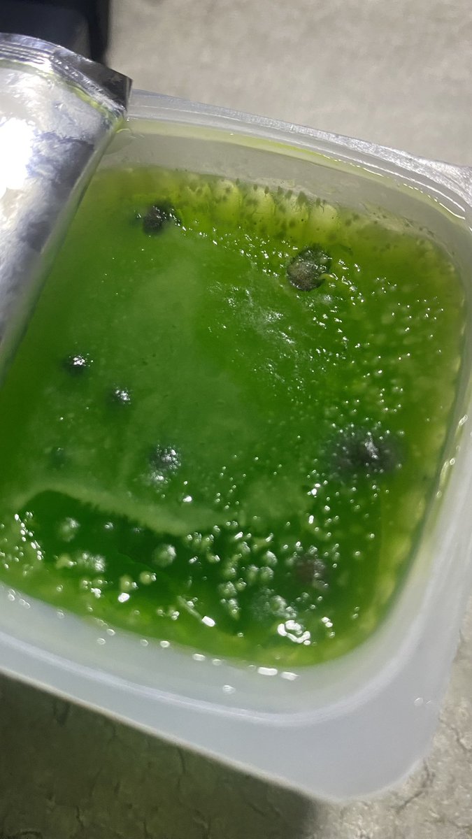 Loops  tweet media