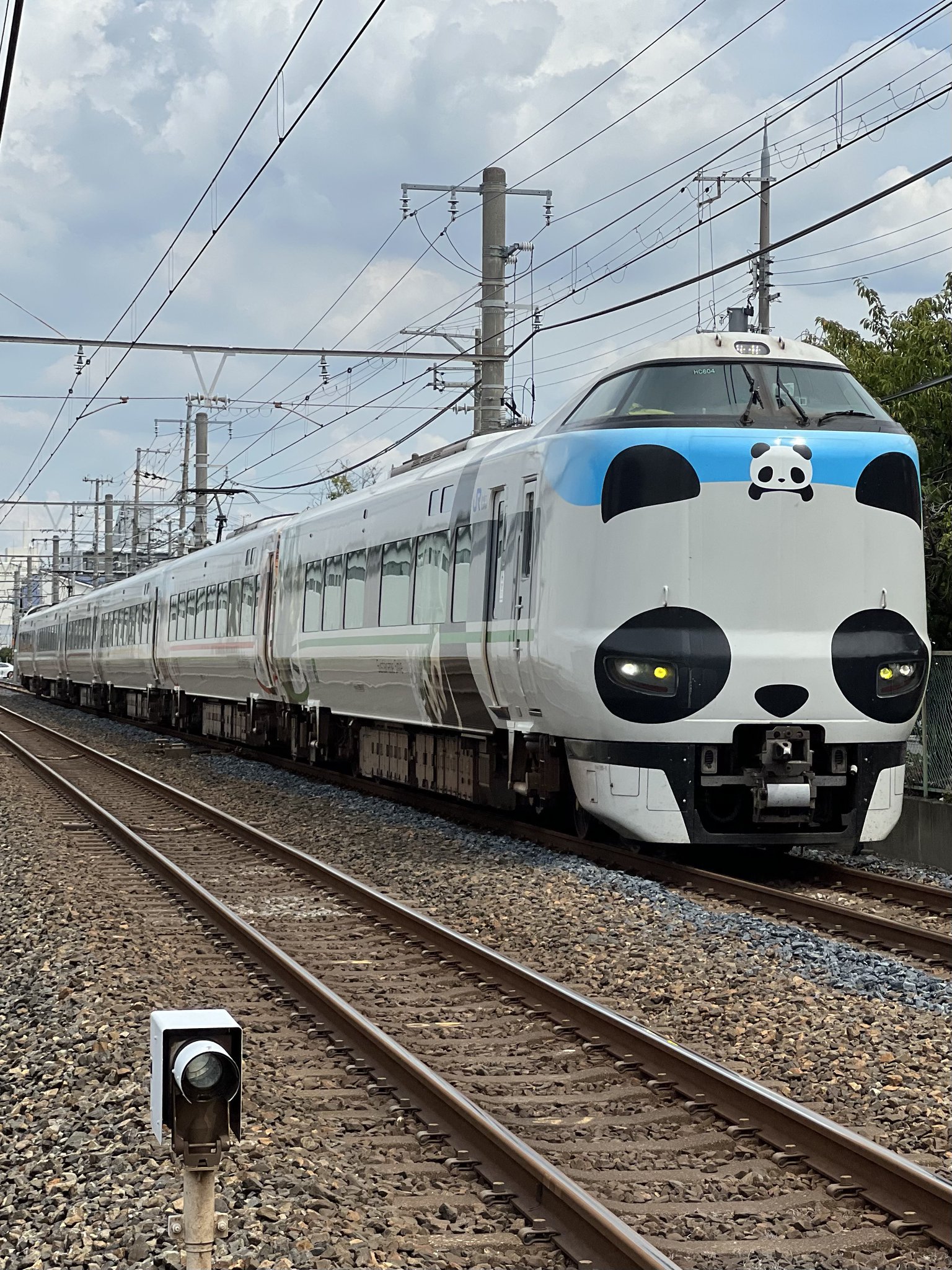 パンダ様おまとめ 6/17より】EHONS×ポプラ社パンダフル！ アポパイ ポコパイ フリ