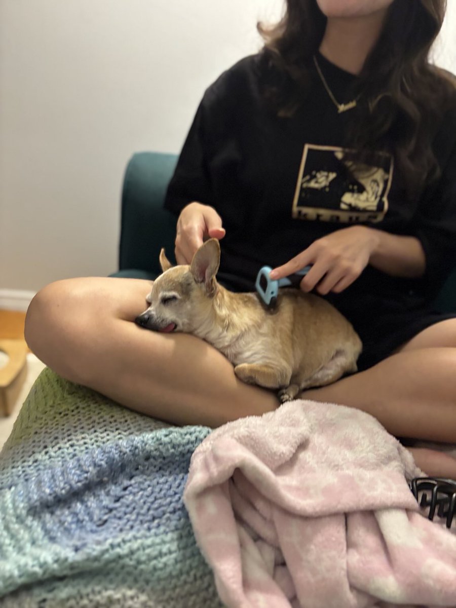 ༼ ༎ຶ ෴ ༎ຶ༽ (@kiirroyale) on Twitter photo 