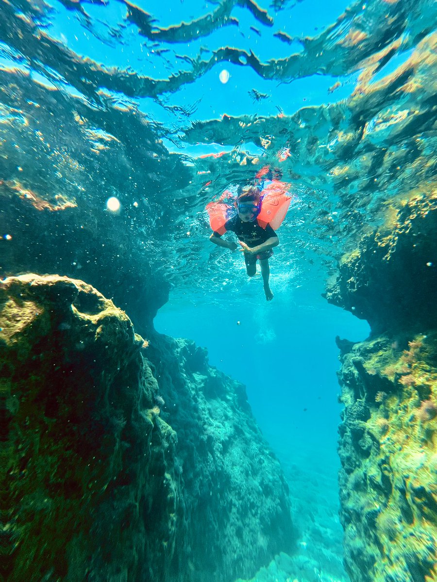 Apollo Gerolymbos 🇬🇷 🇬🇧 tweet media