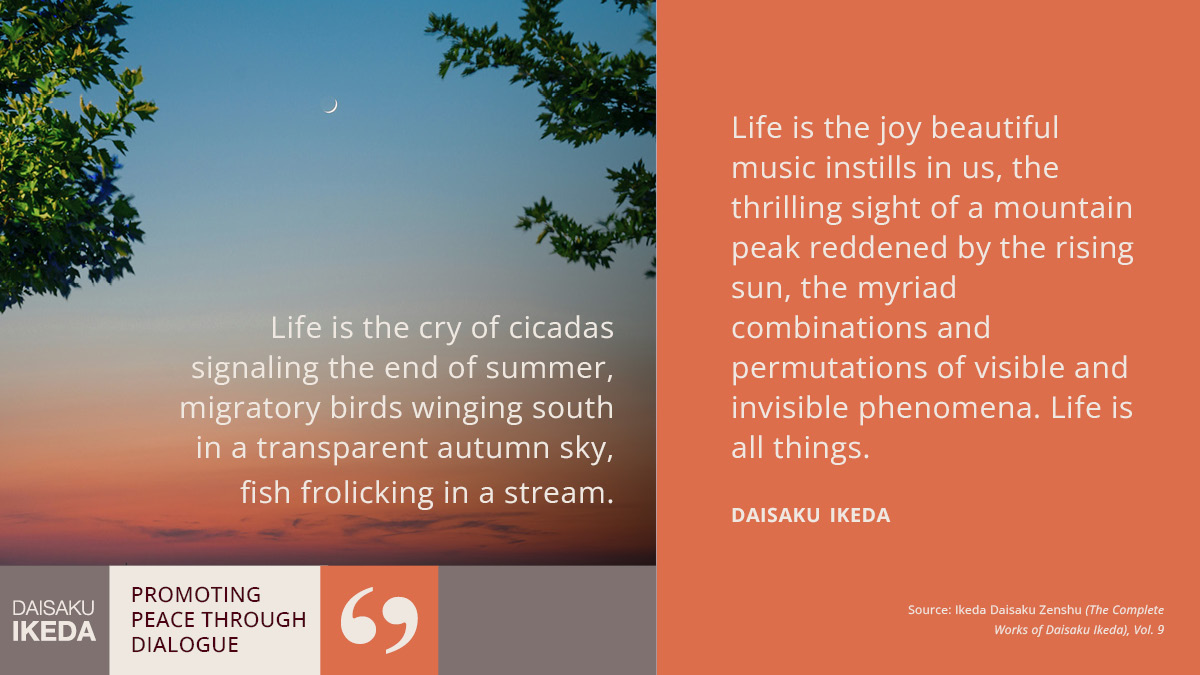 daisakuikeda_of's tweet image. A new season begins—autumn in the north, spring in the south. 🍂🌼

Across the world, we return—to school, to work, to daily rhythms that carry us forward, steady and sure. Life is always moving, always becoming.

#September #NatureInspires #SeasonsOfChange #DaisakuIkeda