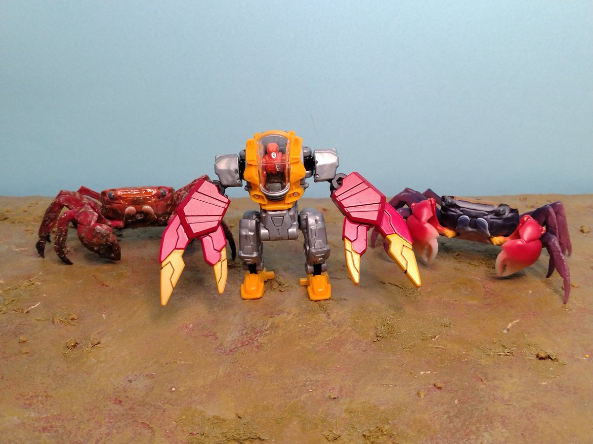 ハリー (@06794997444) / Posts / X