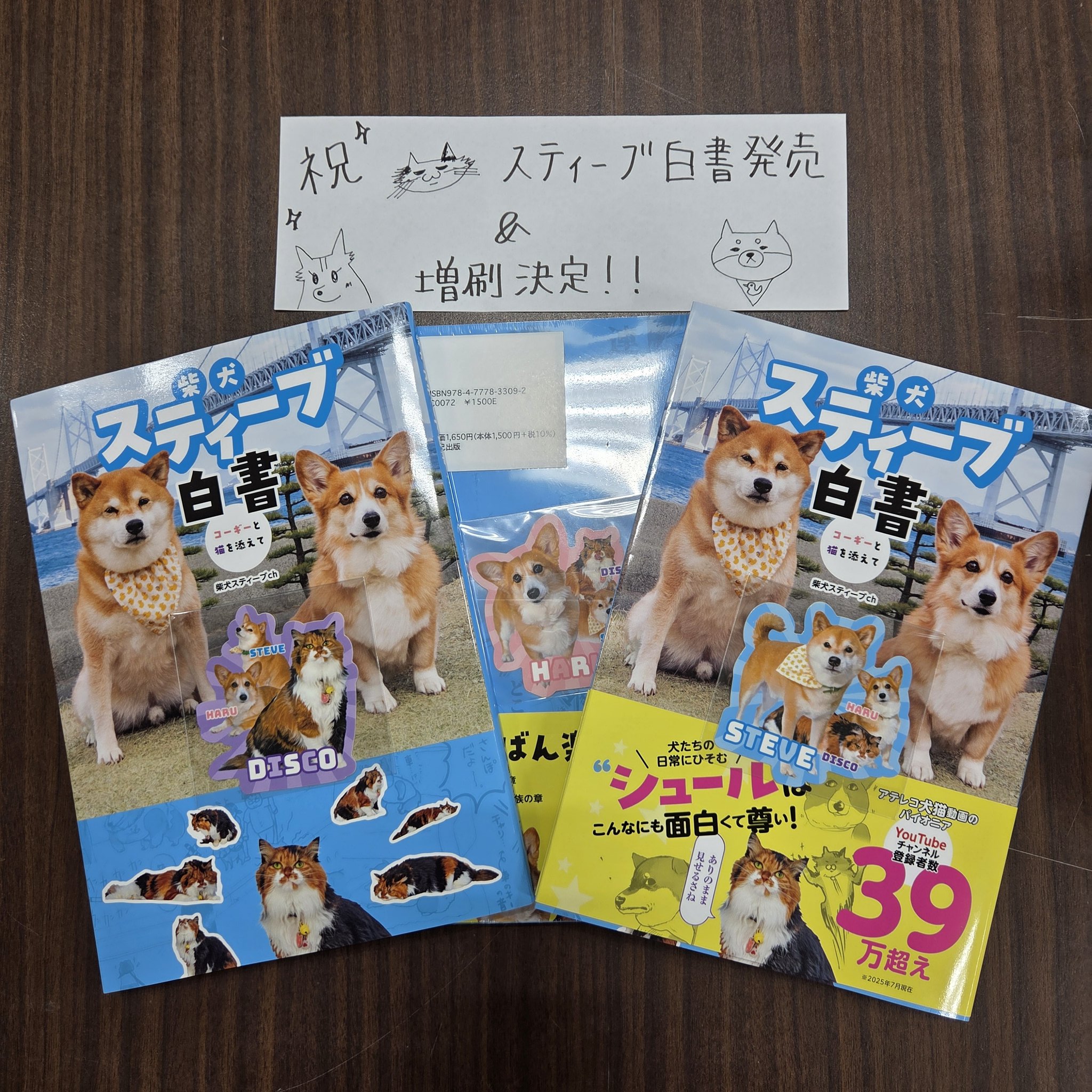 茶しばきいぬ Shi-Ba【シーバ】＋犬びより (@ShiBa2929) / X