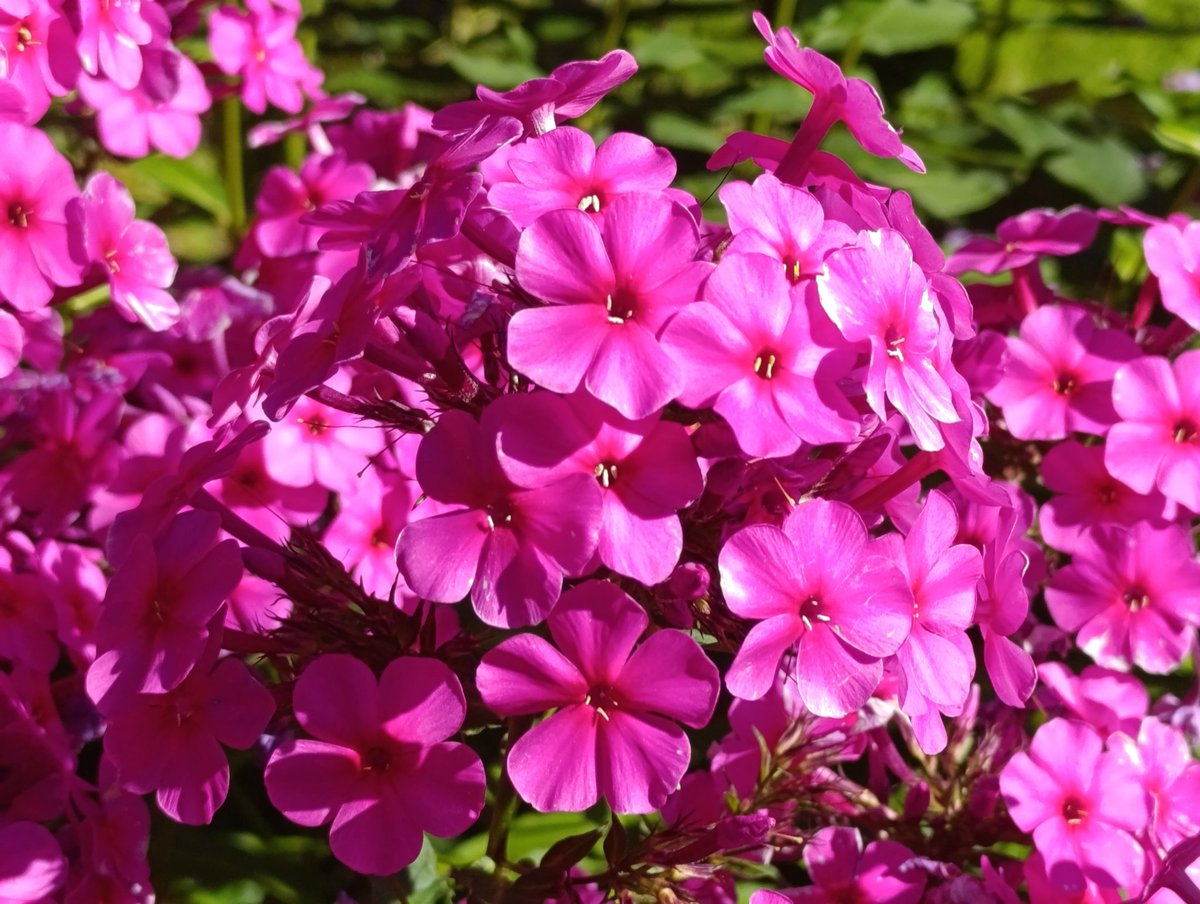 Добре рано, громадяне
Срусня опять цілу ніч біснувалась 🤬
А ви пийте ранкове ☕
Помагайте силам оборони 💪
Та майте в серці те, що не вмирає 🫶