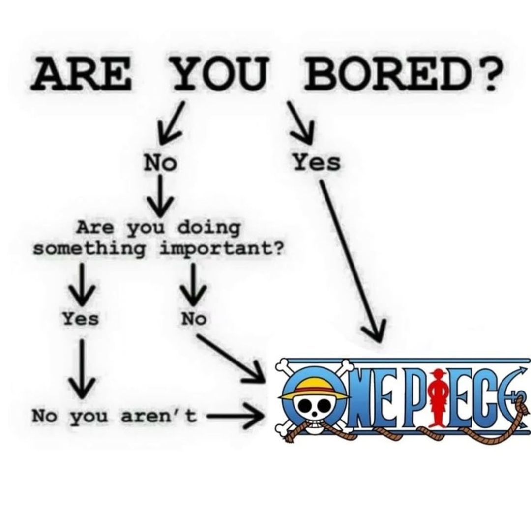 strawhats's tweet image. Anime:  ONE PIECE