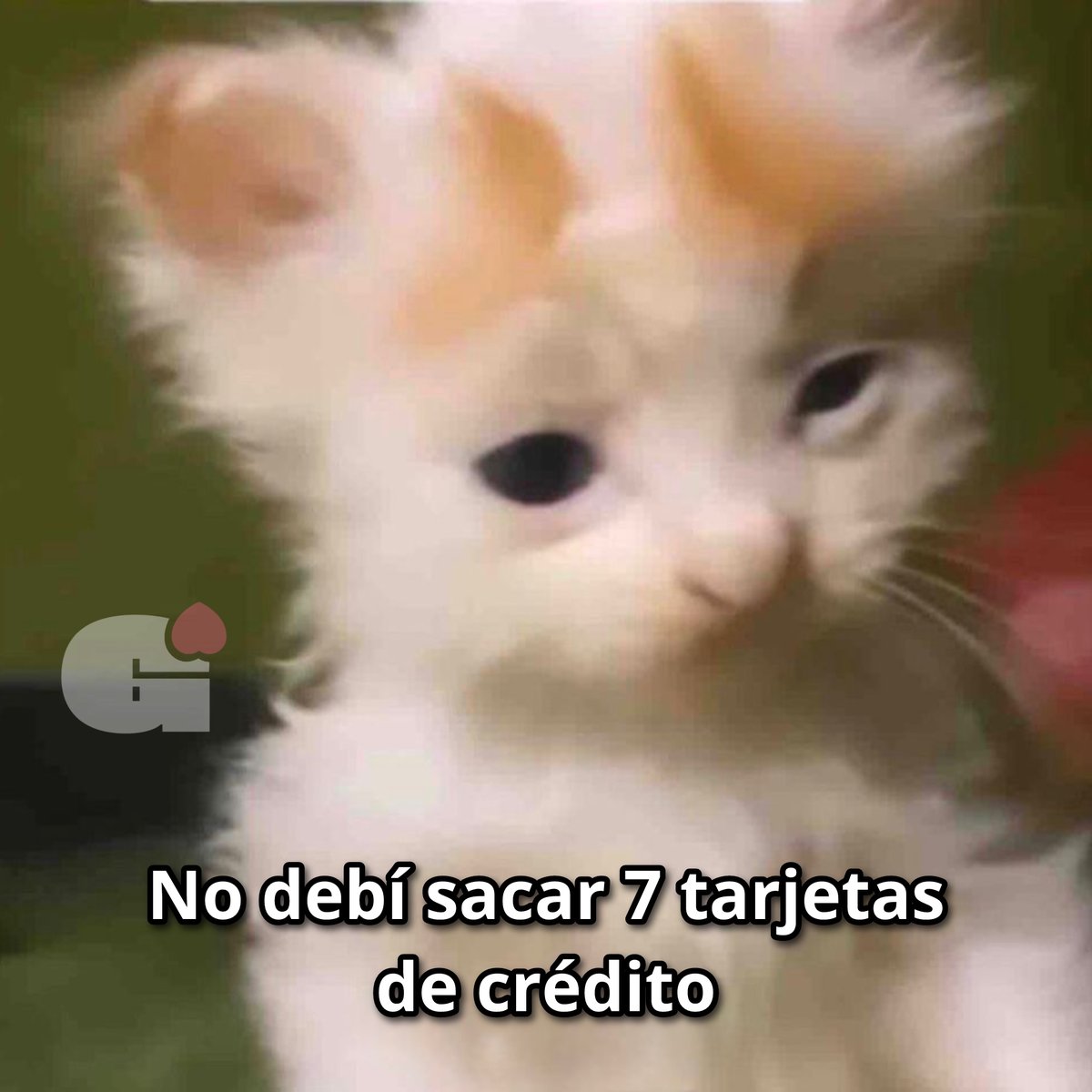 El Guarromántico tweet media