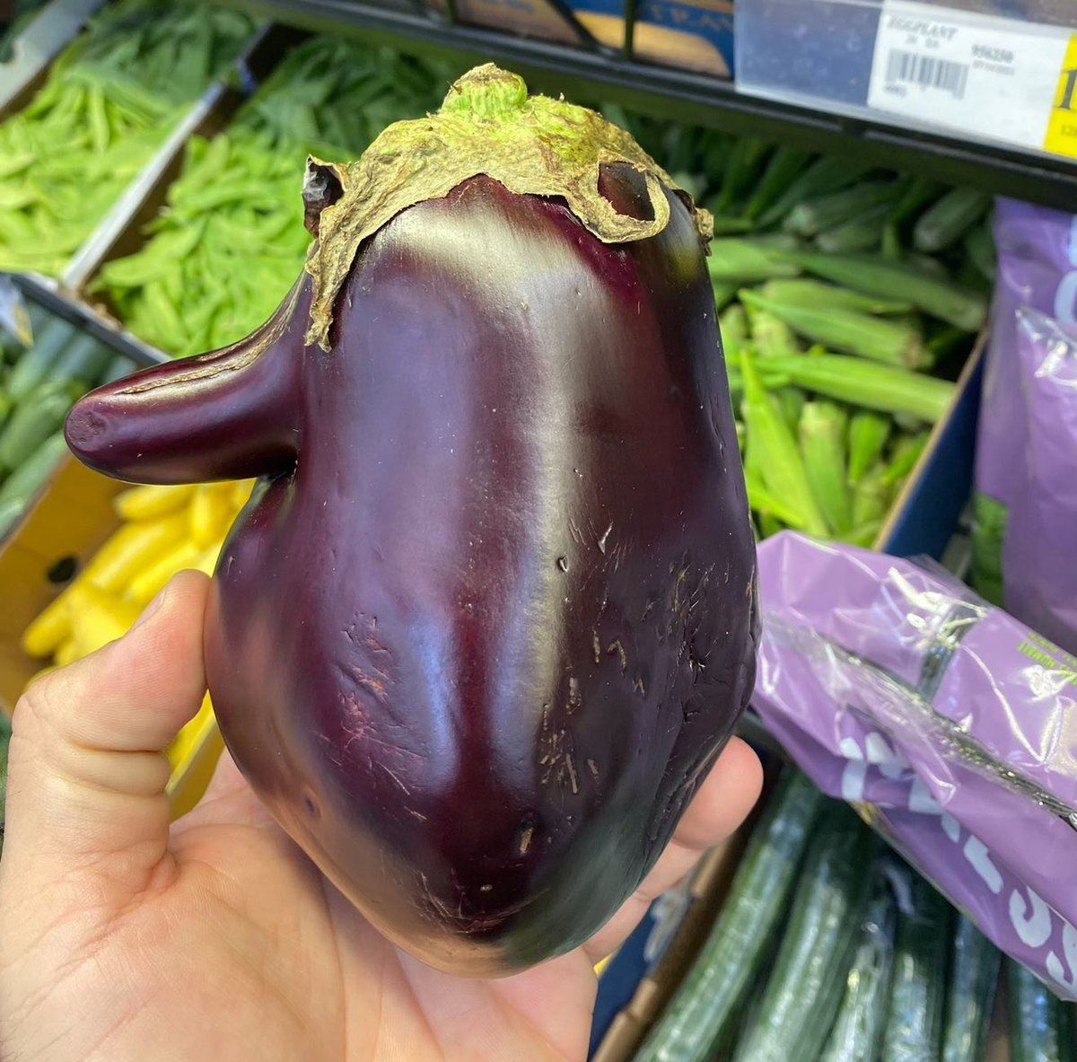 Az77Panda's tweet image. Ladies, this one is for you!