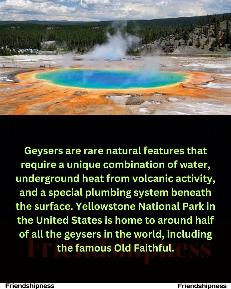 StudentsUnited tweet media