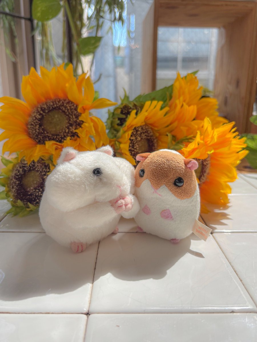 あたらしいおともだち！
なまえは まだない らし。