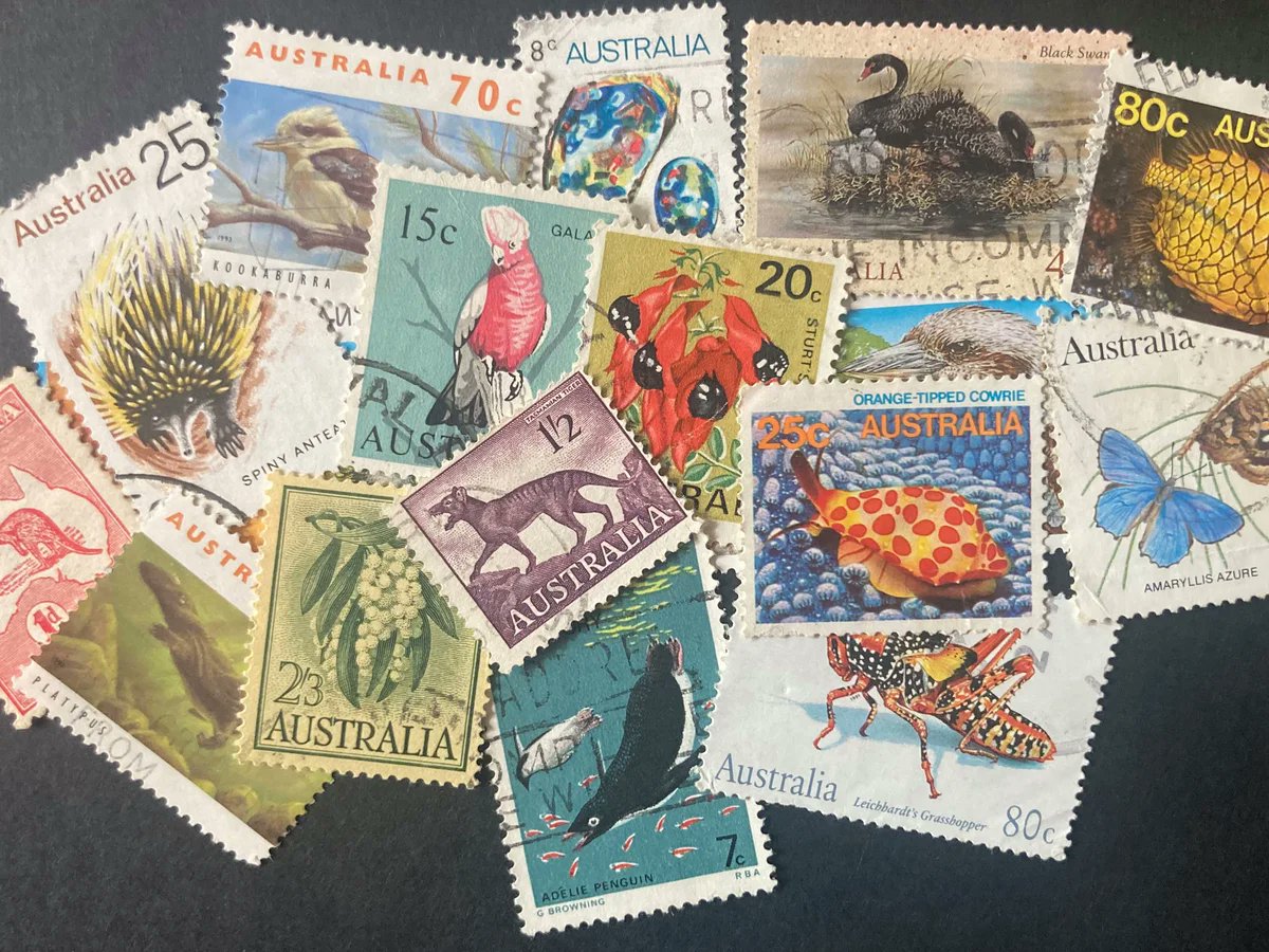 Did you know stamp collections are actually more valuable than Pokémon cards? Since we’re in this whole collection meta, it’s time to send $STAMP

postalmuseum.org/blog/beginners…