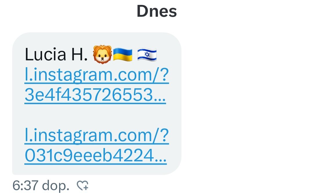 Šířte, už mi do DM přišli.dva odkazy na Instagram. Hlavně na nic neklikejte, je to útok ‼️
Takhle to vypadá👇
