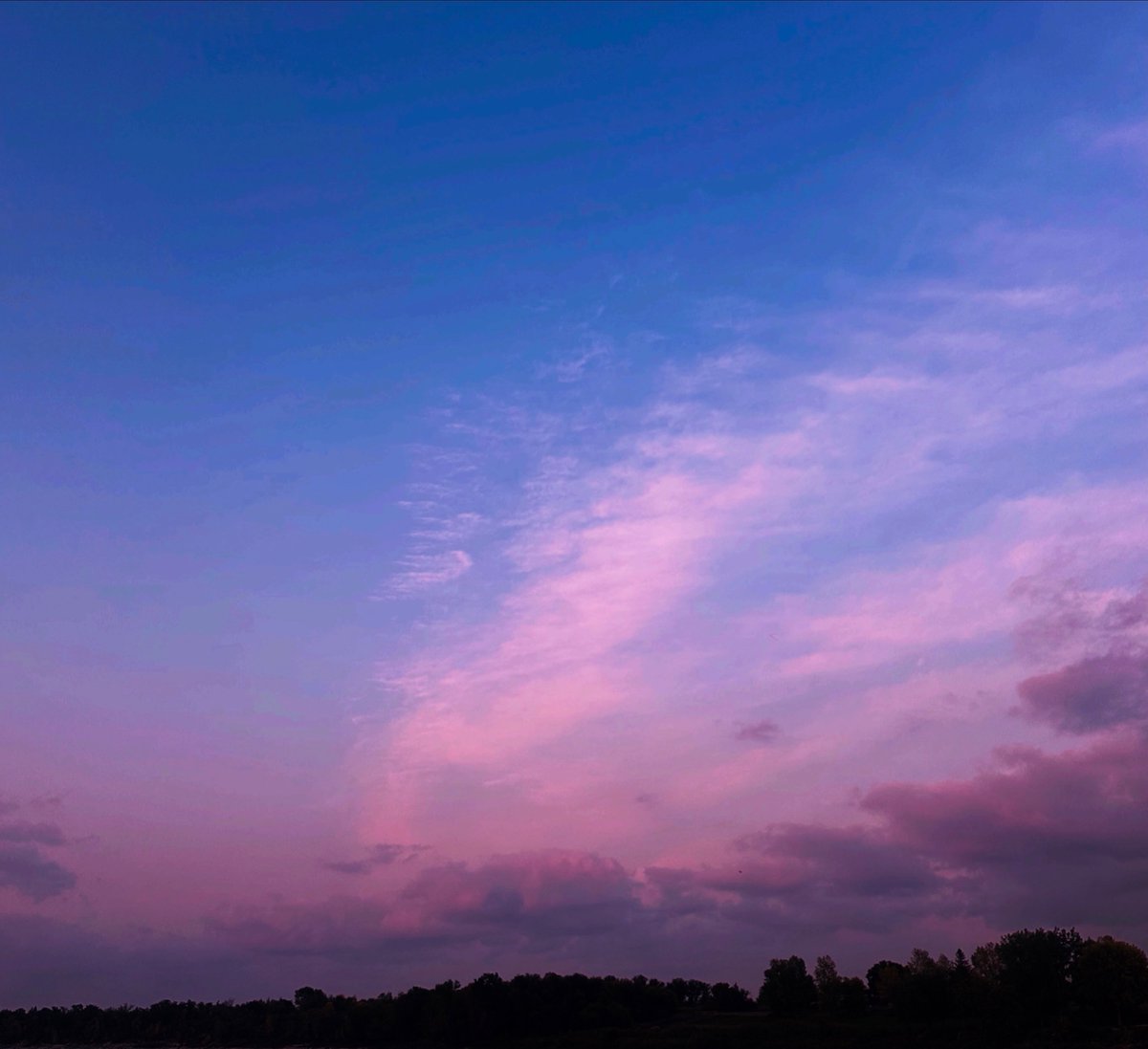 Skies 💕 tweet media