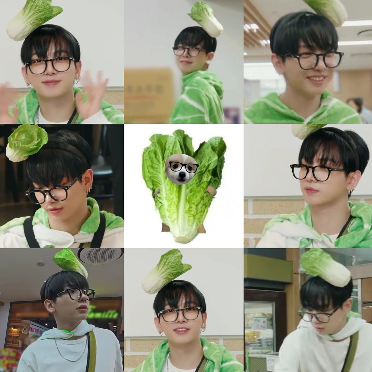 myungjae bagja ˢᵍᵐ 🐾 tweet media