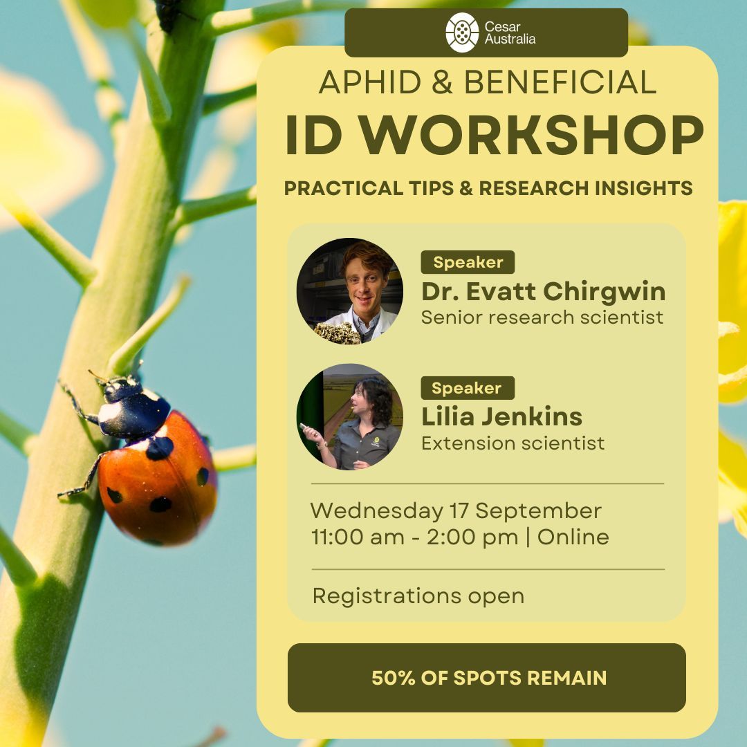 Spring insects are on the move! 🐞🔍 

Join Cesar Australia’s Aphid &amp; Beneficial Insect ID Workshop on 17 Sept to sharpen your ID skills &amp; get practical tips. 

Perfect for newcomers to insect ID or anyone wanting a seasonal refresher! 

👉 Register here: buff.ly/weAENcL