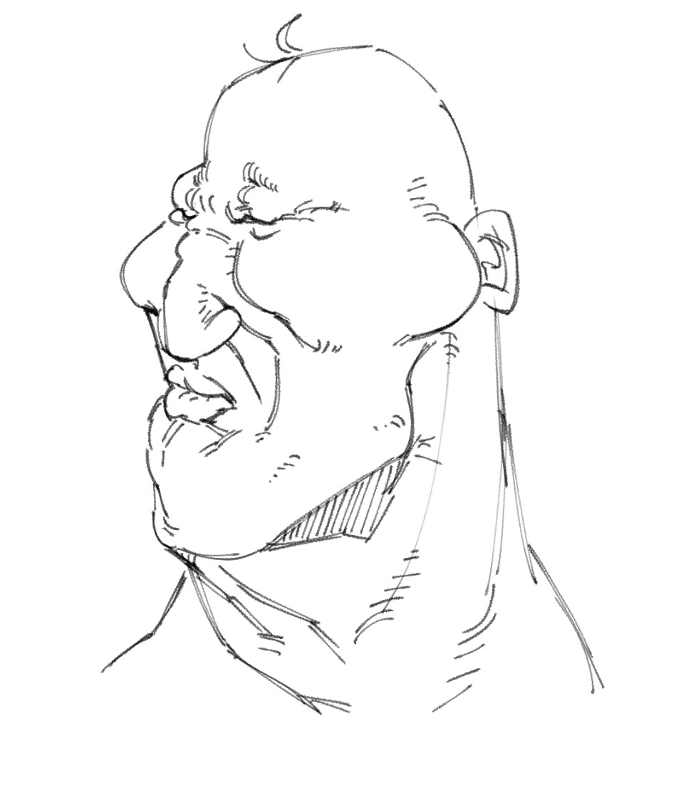 HANDSOME FELLOW.