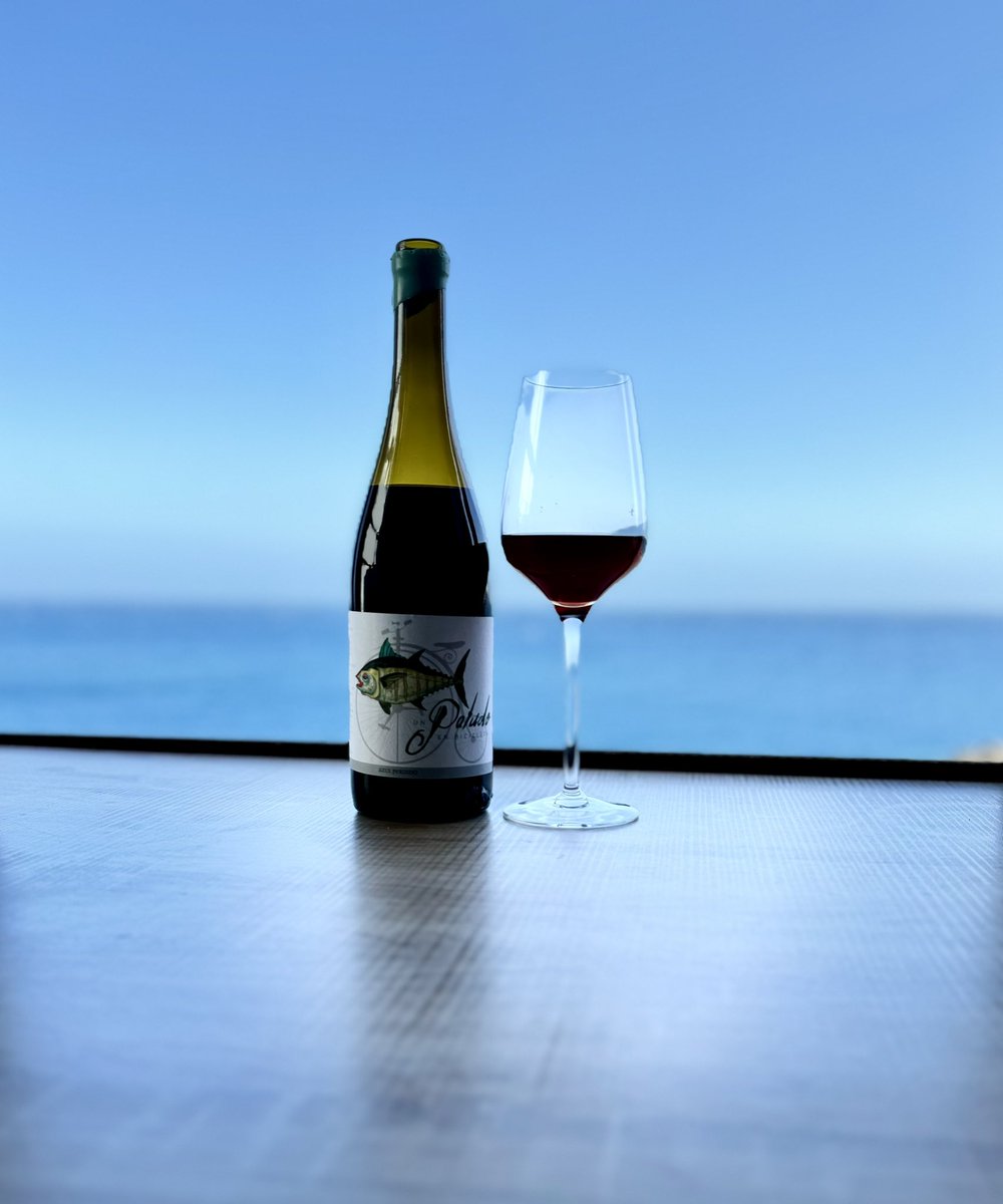 vingelist's tweet photo. Volcanic Wines of La Isla Bonita (part-2)

September 21st, Cathedral Cafe 

Bodega Azul Perdido - sadly closed its doors last Summer. This a is unique opportunity to sample some of their wines that still remain in scattered collections.  https://t.co/xwwDIVQFVV https://t.co/SrITtbfdQT