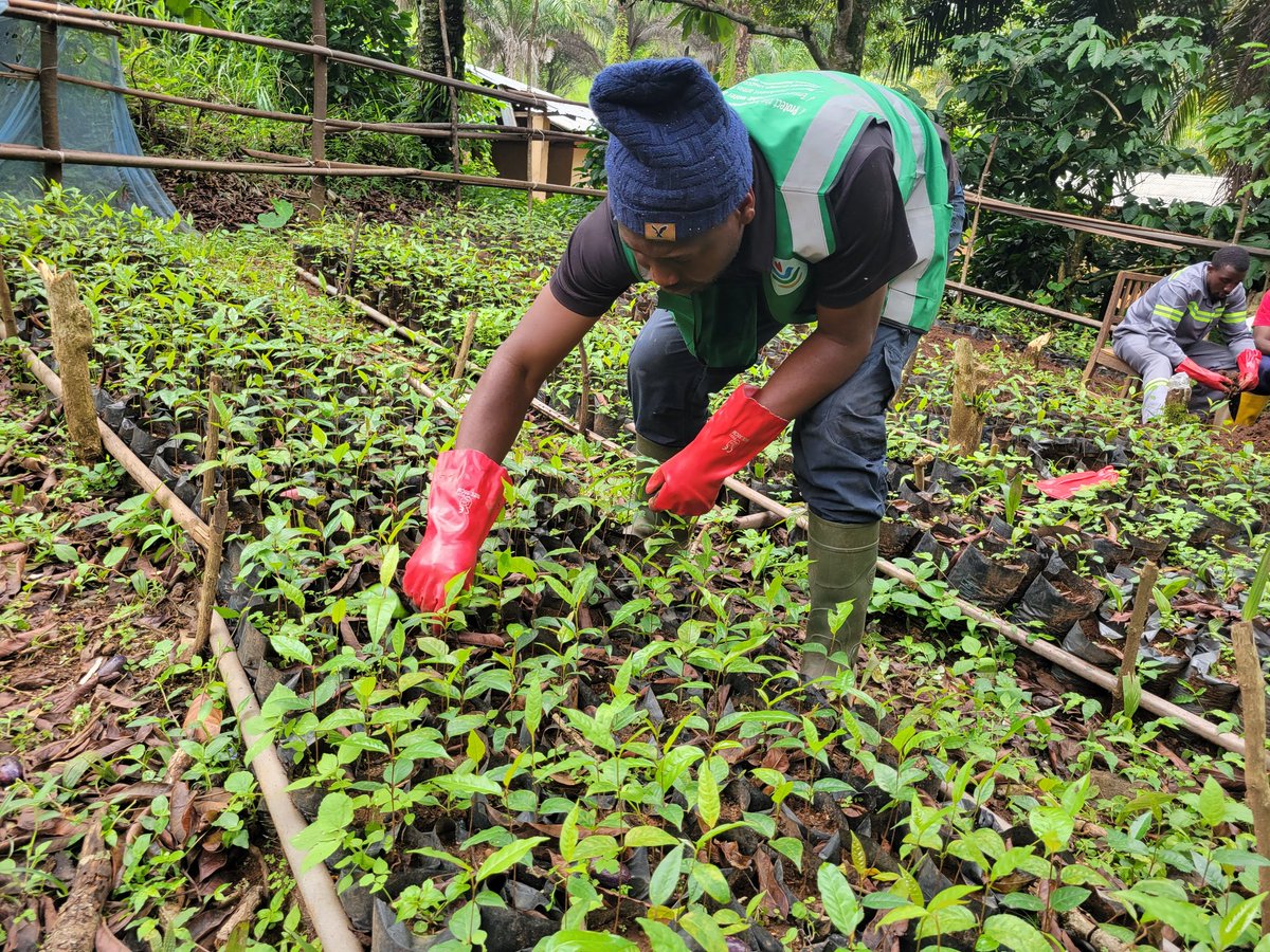Sunday Geofrey (@sundaygeofrey5) on Twitter photo Restoration isn't about what you want. It is about what nature needs. A green and healthy ecosystem is good for our common prosperity.
Acting #ForPeopleForPlanet
<a href="/SSuhucam/">Support Humanity Cameroon - SUHUCAM</a> <a href="/GlobalWaterWork/">GlobalWaterWorks</a> <a href="/GlobalEbAFund/">Global EbA Fund</a> <a href="/theGEF/">Global Environment Facility (GEF)</a> <a href="/Mercyfosoh/">Fosoh</a>
#GenerationRestoration
#ThinkLandscape Restoration isn't about what you want. It is about what nature needs. A green and healthy ecosystem is good for our common prosperity.
Acting #ForPeopleForPlanet
<a href="/SSuhucam/">Support Humanity Cameroon - SUHUCAM</a> <a href="/GlobalWaterWork/">GlobalWaterWorks</a> <a href="/GlobalEbAFund/">Global EbA Fund</a> <a href="/theGEF/">Global Environment Facility (GEF)</a> <a href="/Mercyfosoh/">Fosoh</a>
#GenerationRestoration
#ThinkLandscape