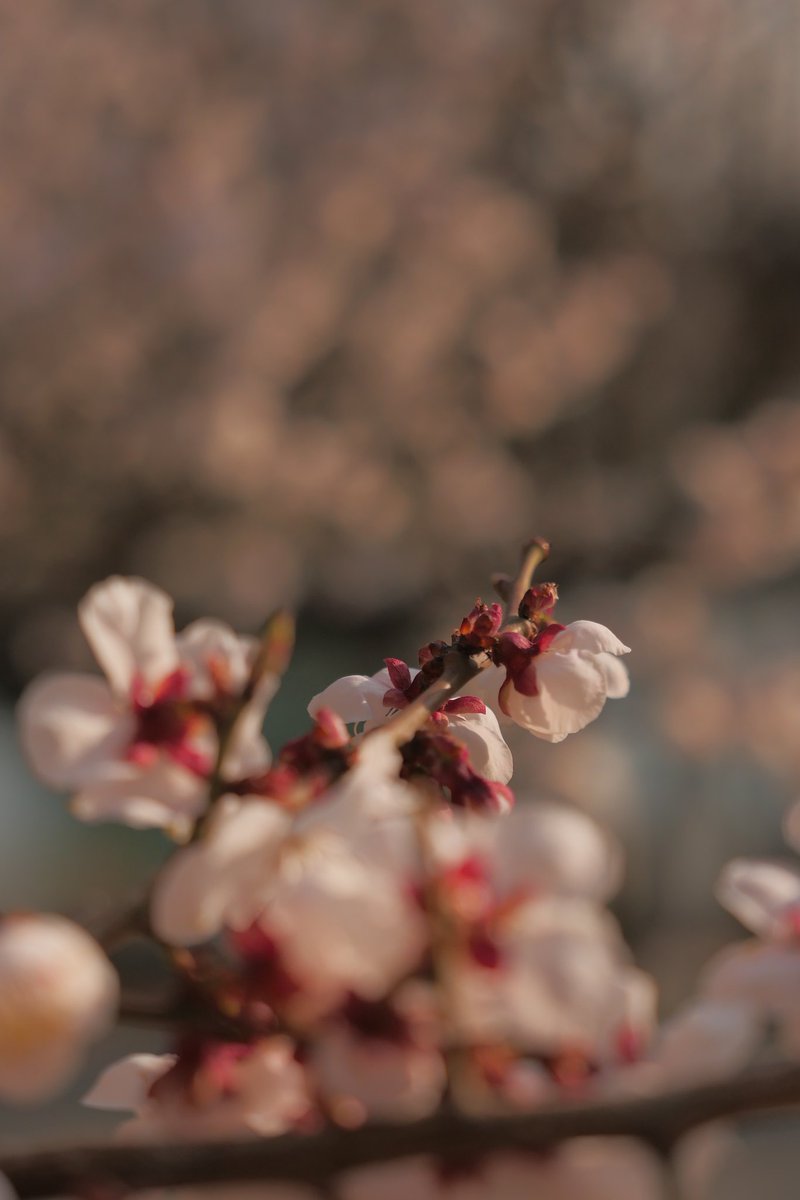 근데 정말 카메라 사고 카메라 차원이 달라 병 생김