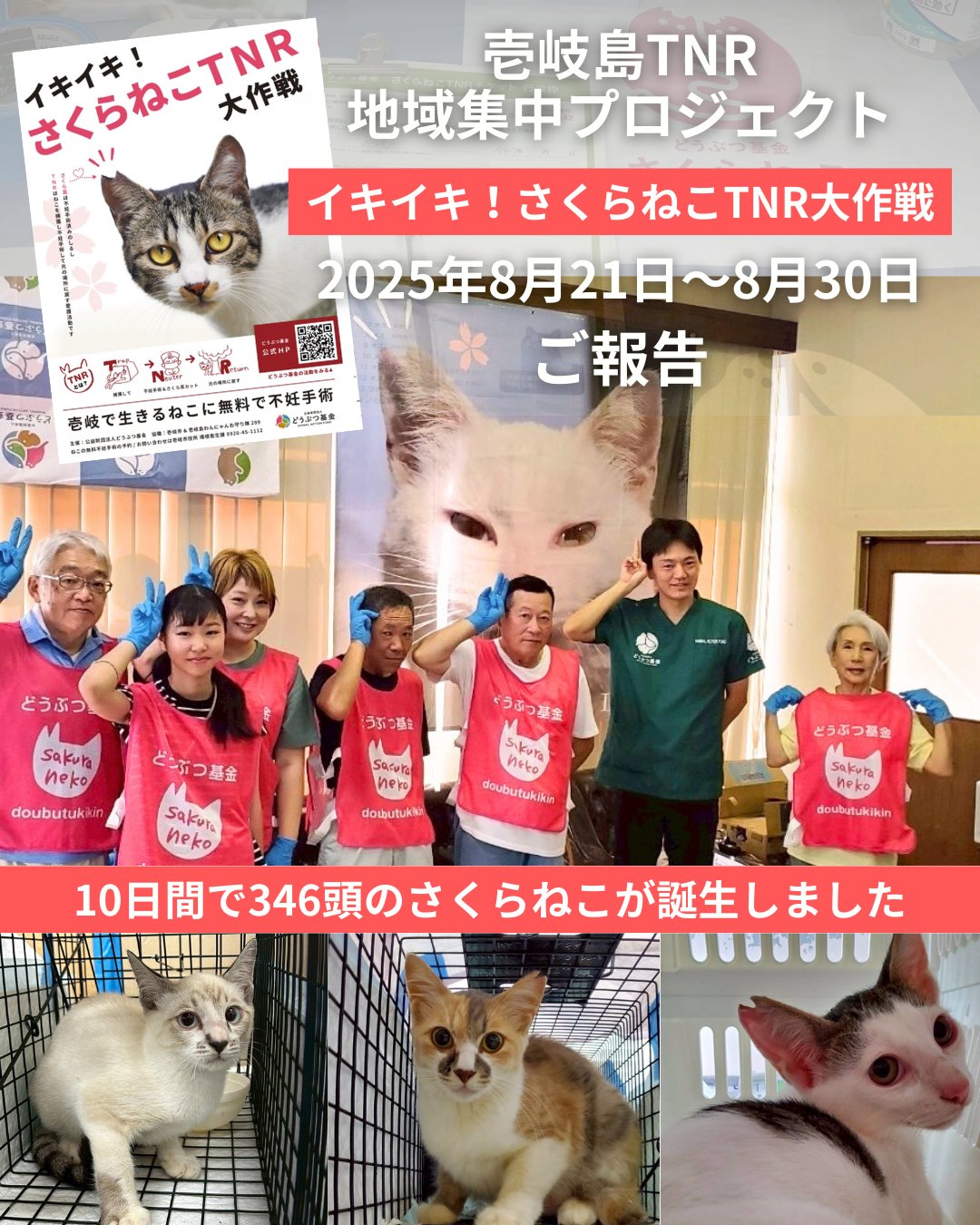 公益財団法人どうぶつ基金 on X: 
