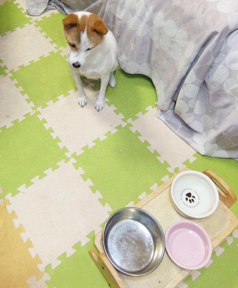 おいしいものは
食べたらなくなる …

ことを知った夜。