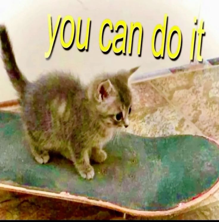 ♡ (@macaroniacc) on Twitter photo 