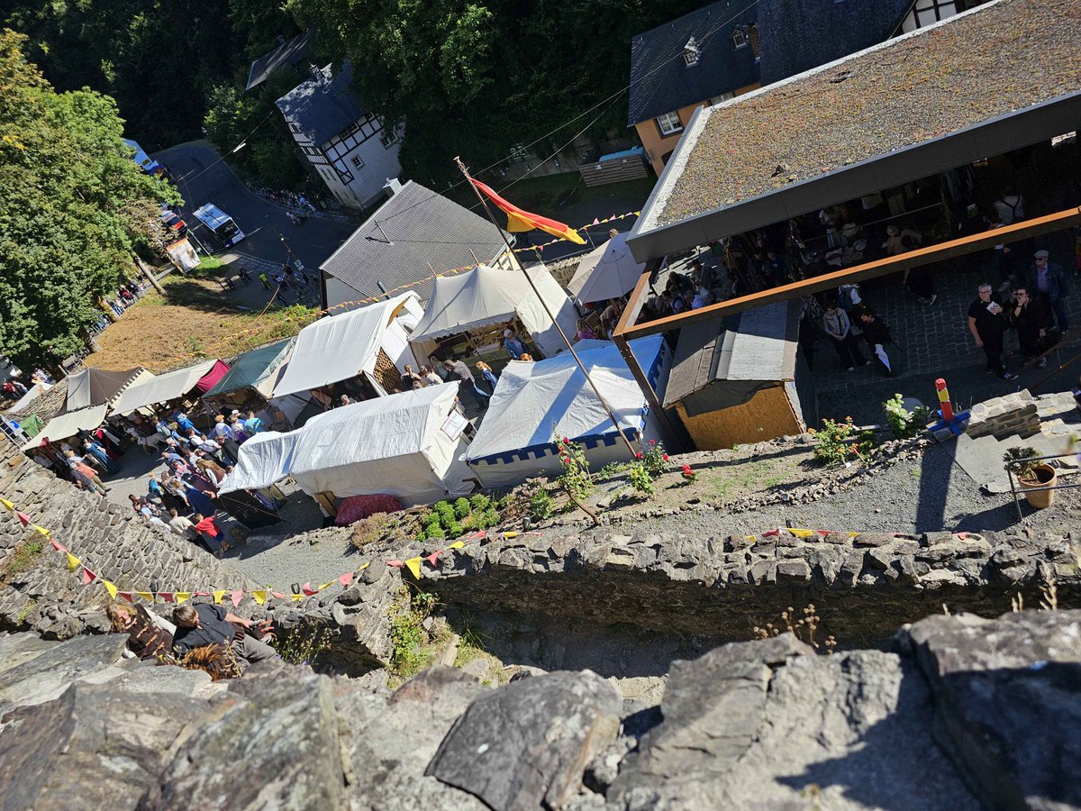 🦝 Dromsy_🦝 tweet media