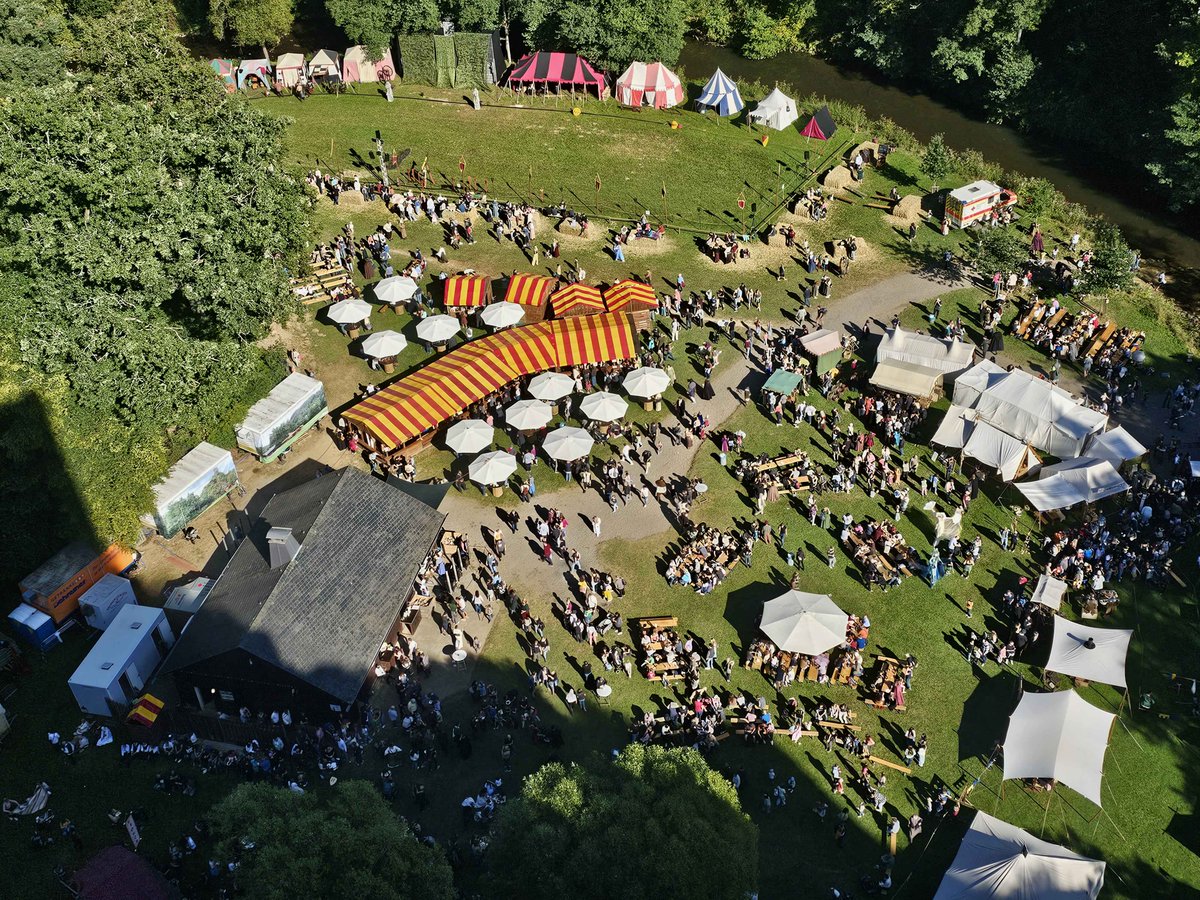 🦝 Dromsy_🦝 tweet media