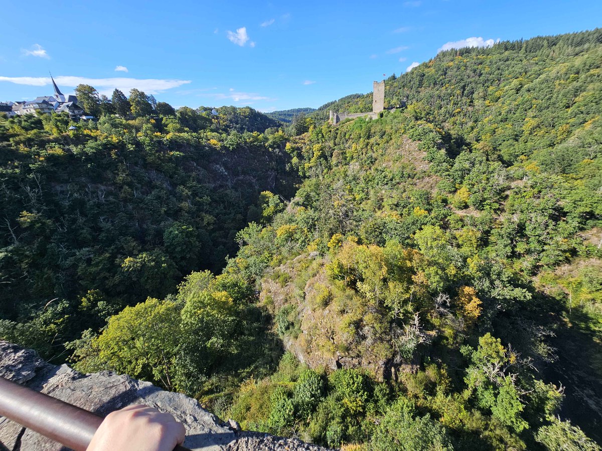 🦝 Dromsy_🦝 tweet media