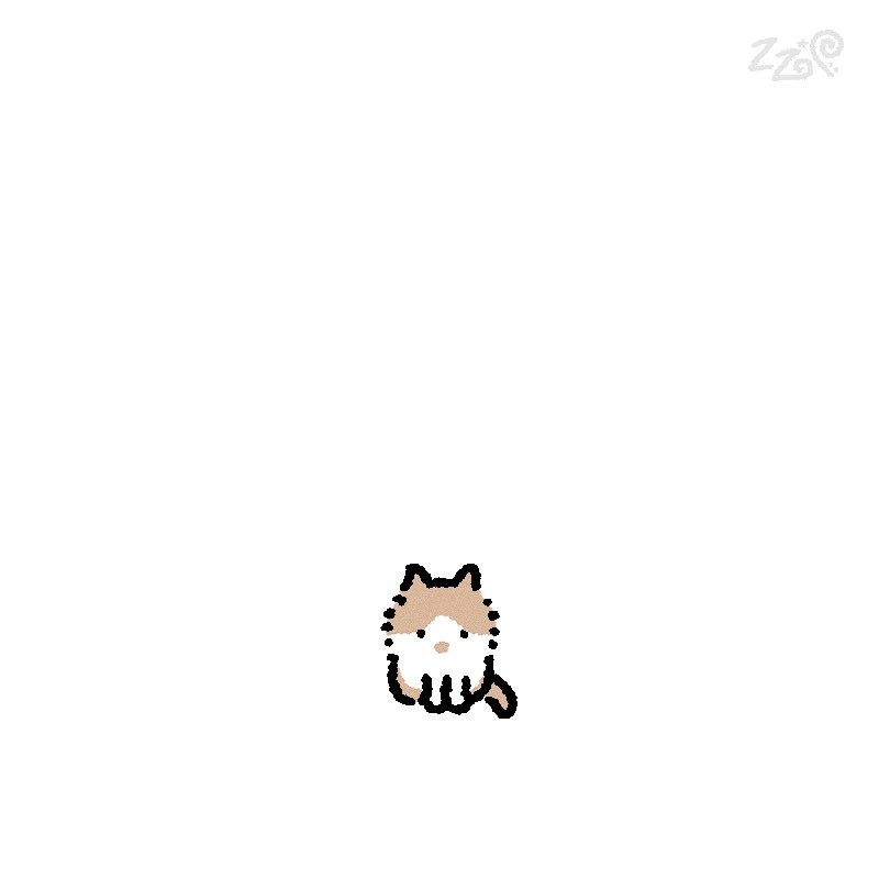 트위터에서 본 귀여운 고양이들