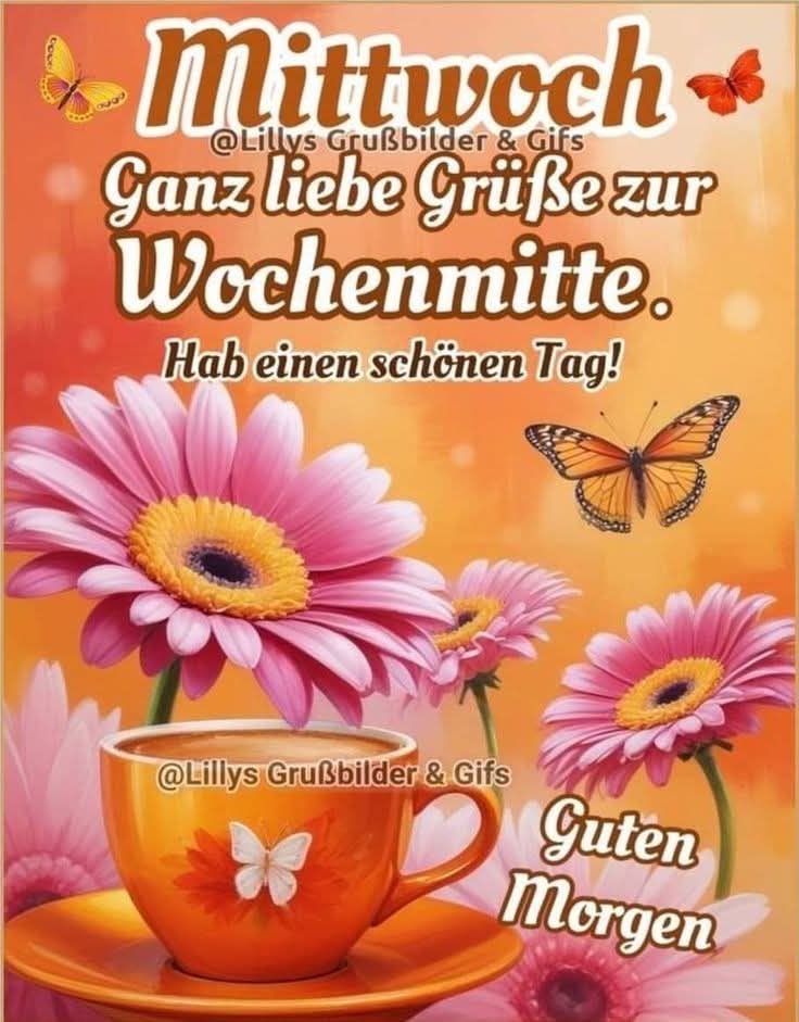 Einen wunderschönen guten Morgen liebe Zwitschervögel. Ich wünsche euch allen ein schönes Bergfest. 💚🫶Habt alle einen schönen Tag.🌞💚 Die Startgetränke sind fertig.☕️🫖🍫 Frühstück gibt es auch. Wer möchte? Outfit ist egal. 😇 Passt gut auf euch auf. Drück euch. 🫂💚🫶😘