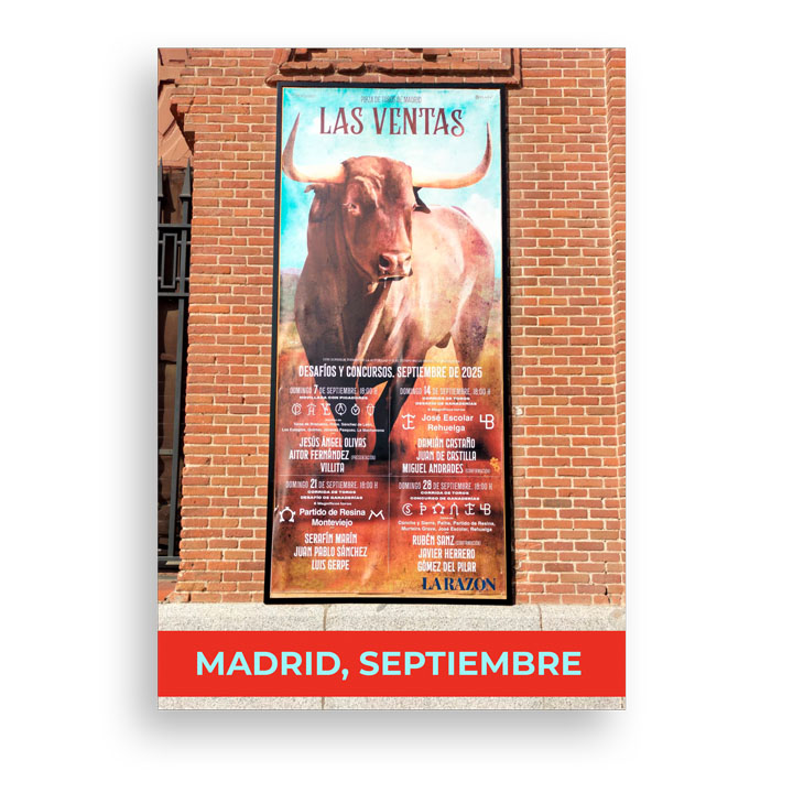 En septiembre, en Las Ventas, el TORO es el auténtico protagonista. Corridas concurso y desafíos de ganaderías con encastes únicos, muy del gusto de la afición madrileña. Una experiencia que ningún amante de la tauromaquia debería perderse.

f.mtr.cool/vkmbpfuqhr