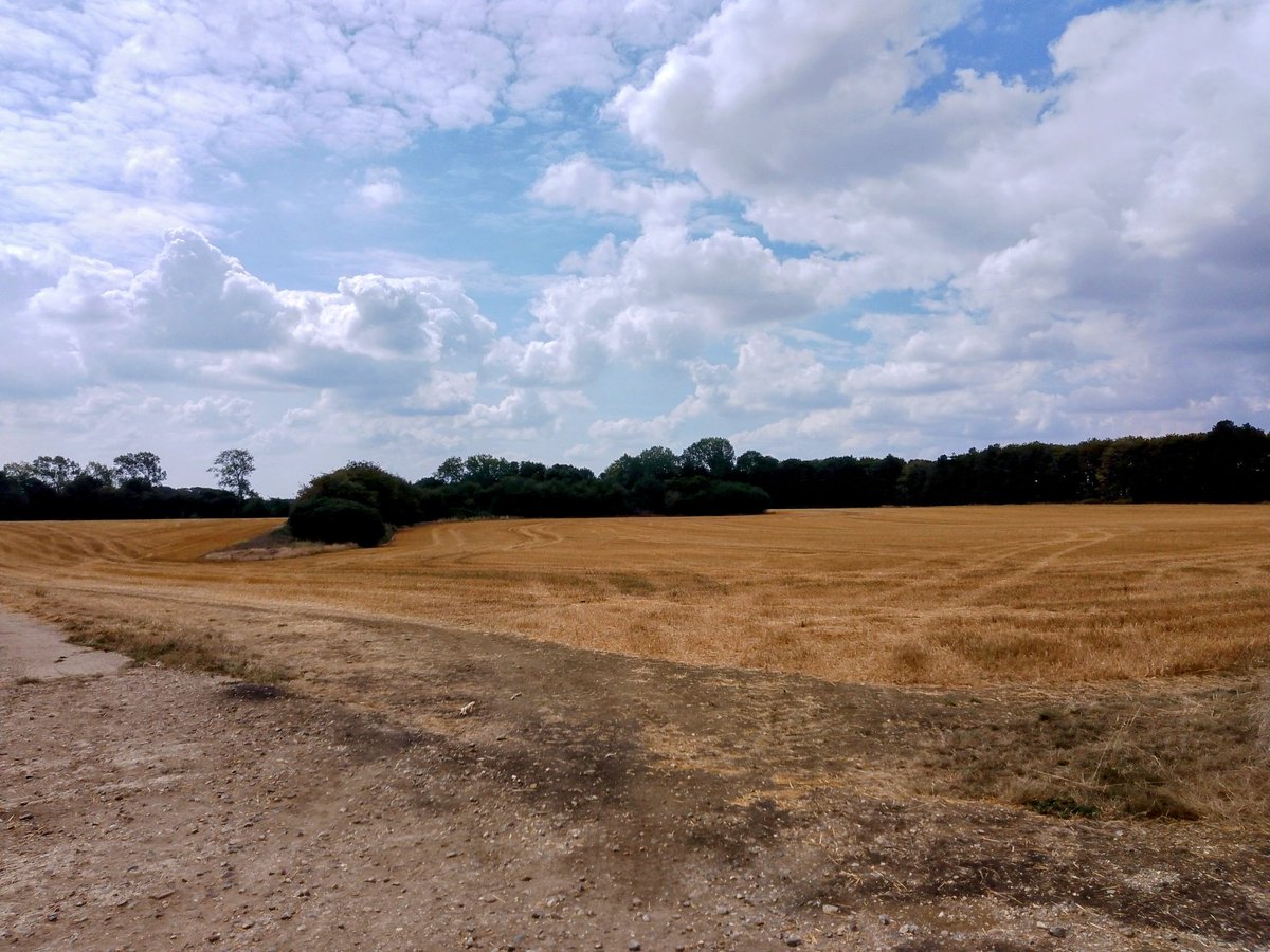In #Fackley , in the past ,part of #HarringtonAirfield , once a field enclosure, maybe originally a wood clearance or settlement -#FackleyLostVillage .With #BullocksPennSpinney , once #MeadowSpinney in view.#PhilOnaBike #WednesdayWander #FaxtonFields #clouds #FootpathFriday