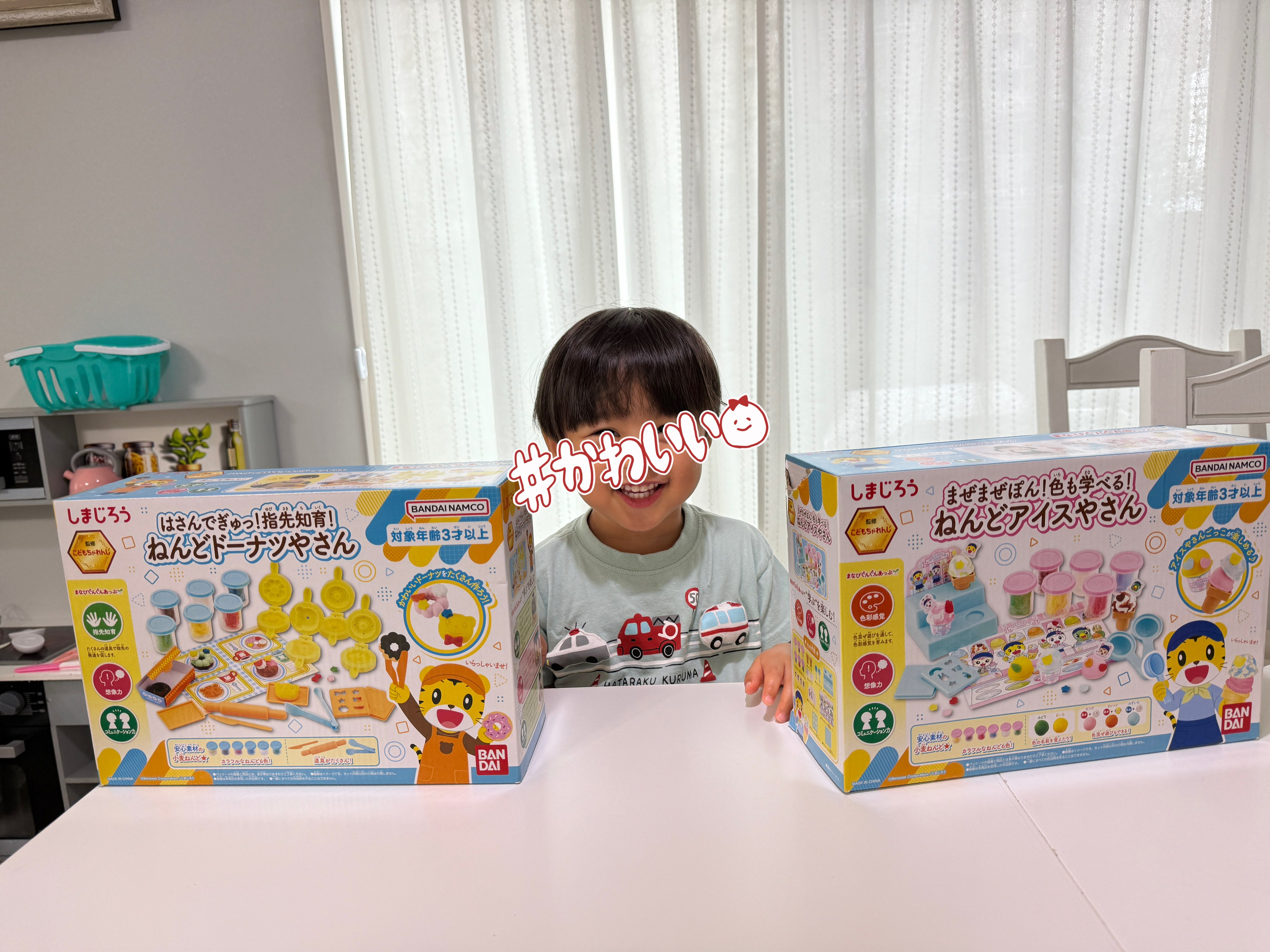 〈えむ様〉専用ページ NTT 【中古】【据置用品付】ZXM-ME-(1) + ZXSM-MEメモリーカード