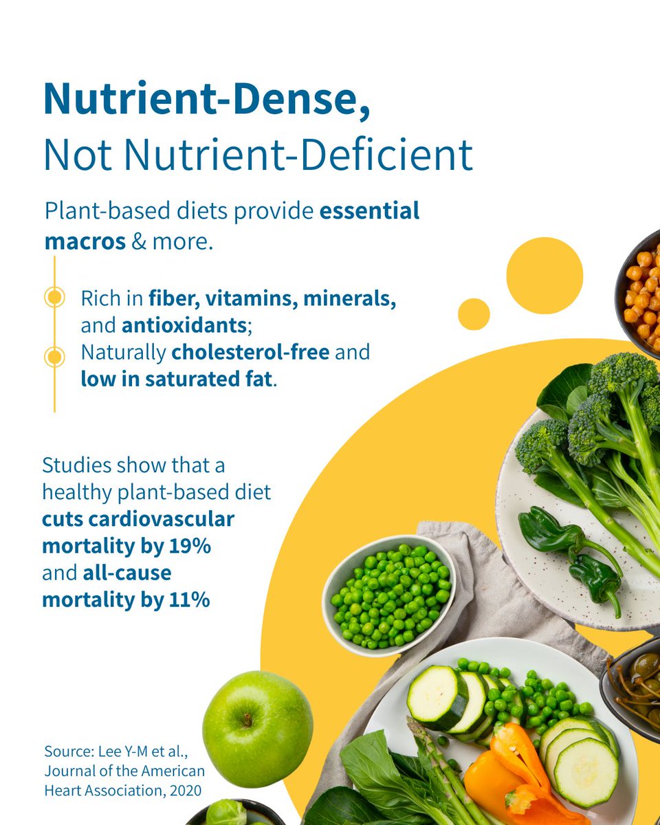 PAN_India_Org's tweet photo. Misinformation discourages patients from choices that could save lives.

Myth #1: Plant-based diets are “nutrient deficient.”

Dr. Varsha Shah explains why the evidence says otherwise. #NationalNutritionWeek #PlantBasedDiets #EvidenceBased #WFPBDiets https://t.co/1cw7PoDex8