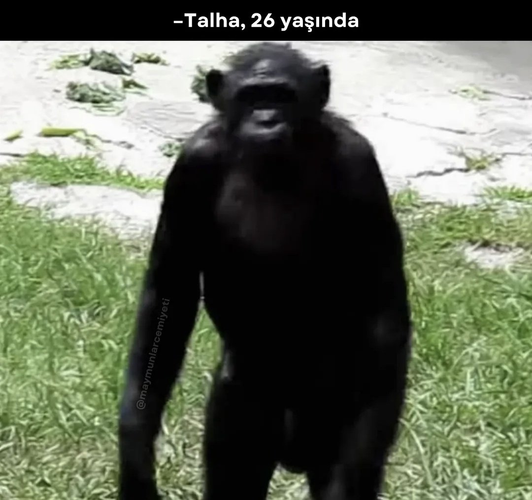 Hoenes veya Poşet gibi hocalar varken İsmail Kartal isteyenler...