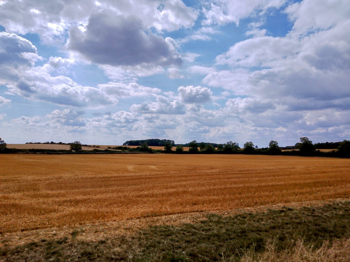 #FaxtonFields after Harvest 1 ,maybe #JamesGore 
#PhilOnaBike #WednesdayWander #FridayFields #clouds