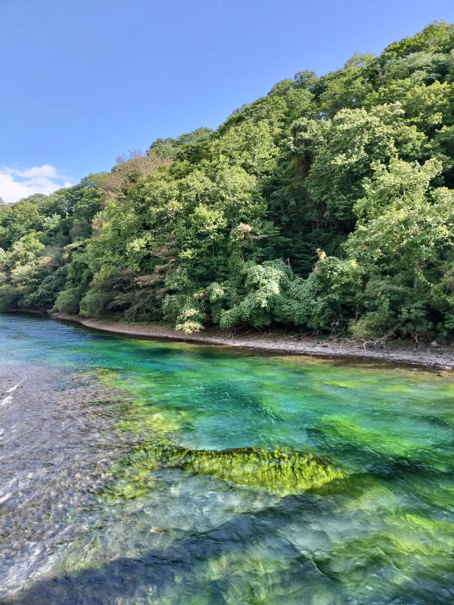 星逆 志夜 tweet media