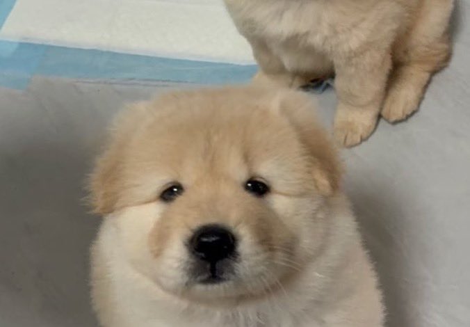 오늘아무것도안함..