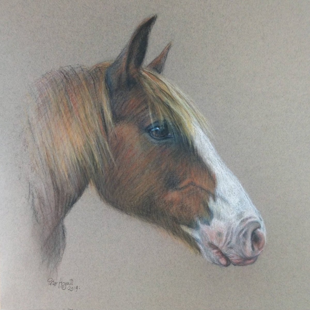 Peter Hogarth - Artist tweet media